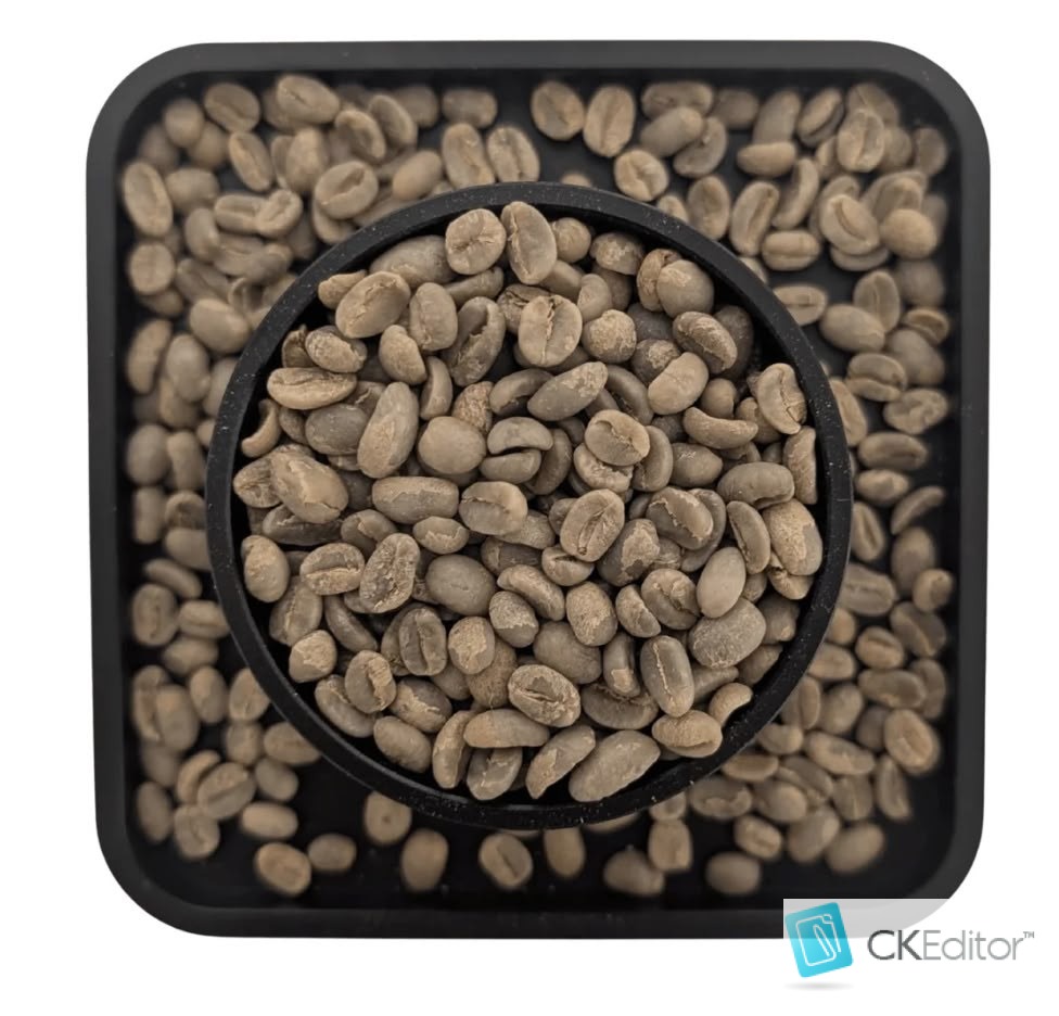 Arabica Born from Volcanic Sedimentary Soil: Irresistible Nutty Chocolate Aroma